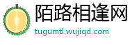 陌路相逢网